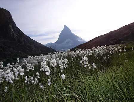 Hotel Riffelhaus 1853 Zermatt